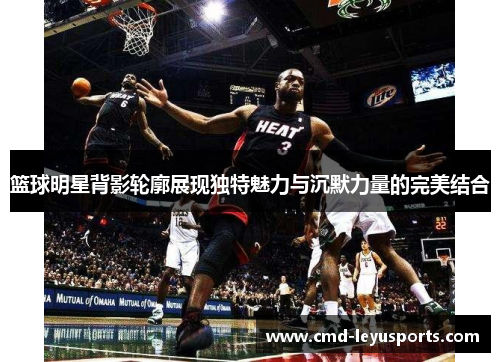 篮球明星背影轮廓展现独特魅力与沉默力量的完美结合