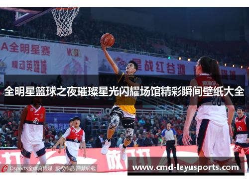 全明星篮球之夜璀璨星光闪耀场馆精彩瞬间壁纸大全