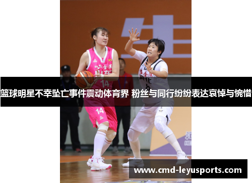 篮球明星不幸坠亡事件震动体育界 粉丝与同行纷纷表达哀悼与惋惜